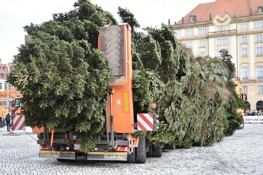 Ankunft auf dem neuen Altmarkt Foto: © MeiDresden.de/Mike Schiller