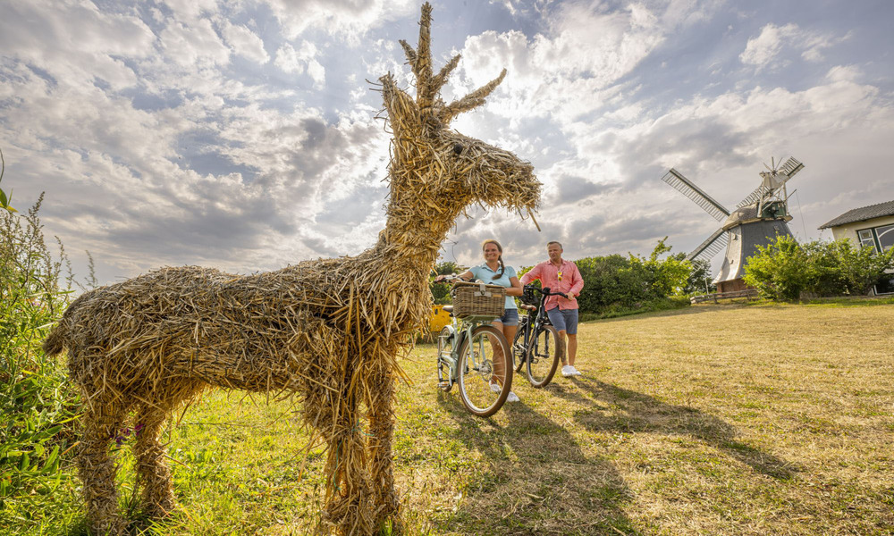 Am besten lassen sich die Kunstwerke aus Stroh mit dem Fahrrad erkunden: Die knapp 54 Kilometer lassen sich gut an einem Tag auf einer gut ausgeschilderten Strecke erradeln. Foto: DJD/Probstei Tourismus Marketing/Oliver Franke